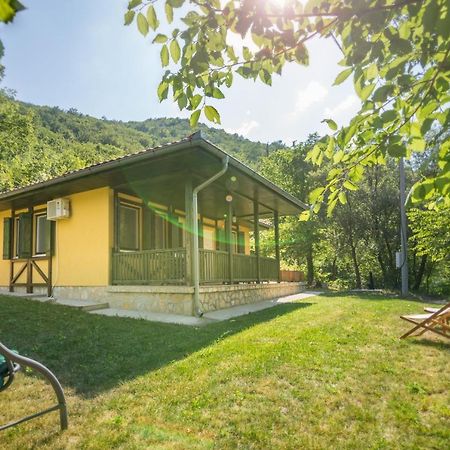 Vila Camelia Golubac Exteriér fotografie