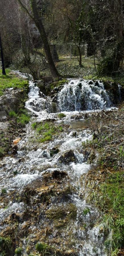 Vila Camelia Golubac Exteriér fotografie