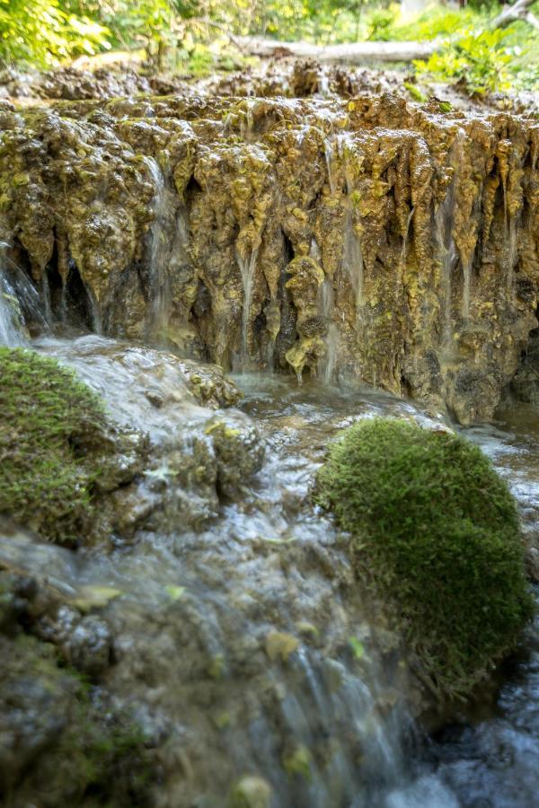 Vila Camelia Golubac Exteriér fotografie